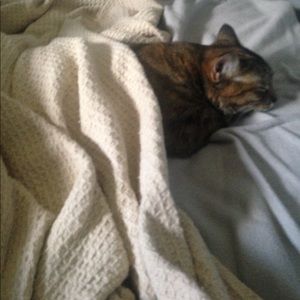 Meet your posher, Amanda